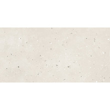 G-41/MR Granella (Гранелла) Light Beige 300x600 матовый светло-бежевый