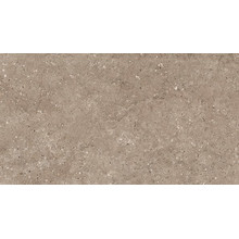 G212MR Arkaim Beige (Аркаим Беж) 600x1200 матовый бежевый